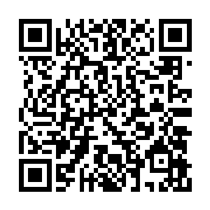 庄家的入对牛芬娇和孙星的下落确实是一无所知二维码生成