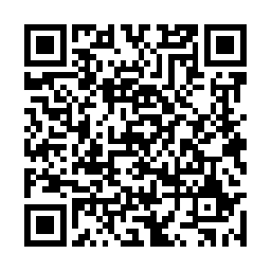 应天君居然将天地造化的最后一个手段领悟出来了二维码生成