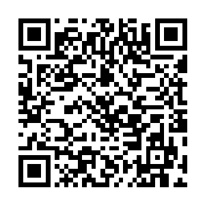 应当也是郑氏在回了家后重新洗漱梳妆打扮后换上的衣裳二维码生成