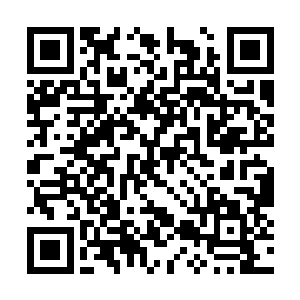 应总体在伯仲间――但只剩下青珠圣人一个人的话二维码生成