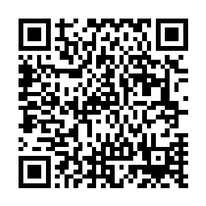 应该不会有人冒着得罪王妃的风险去损坏韩家大姑娘的名声二维码生成