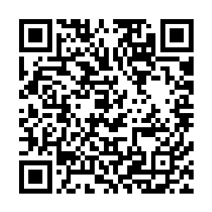 应该不会这么莽撞-----lcd这个阵容的打龙速度非常快二维码生成