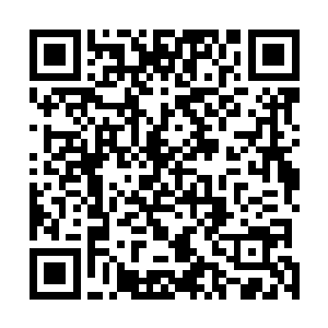 应该不会错吧可能是机场没有标明吧呐你快看前面那两个二维码生成