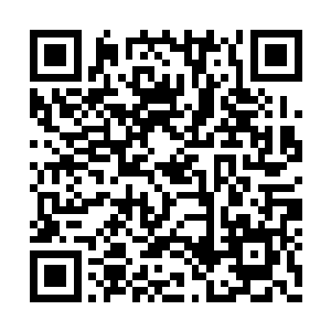应该叫劳克他们收集一份关于血炎大陆的资料的二维码生成