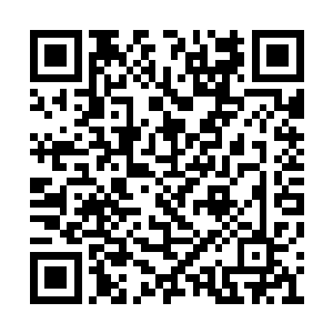 应该大部分都会在十五岁之前突破后天第五层吧二维码生成