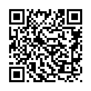 应该就是为了成为轮回树的守护者二维码生成