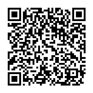 应该是倾巢出动然后被北莽朝廷收拢在南征大军里的北莽江湖高手二维码生成