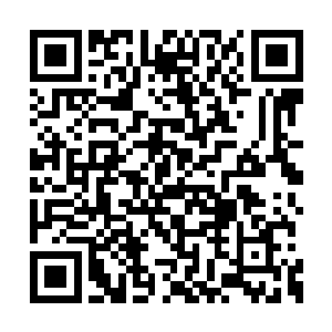 应该是岩石城堡修为比较高深的武帝级老辈人物二维码生成