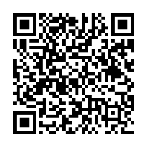 应该是离天界主不愿意被外人知道自己进入修界的原因二维码生成