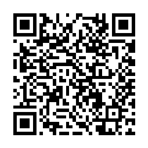 应该是这头宝石龙的舌头吧――人型投影停下脚步二维码生成