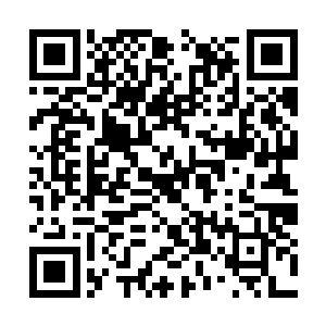 应该是那位神通广大的世子姐夫不知从哪儿寻来的二维码生成