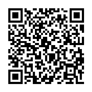 应该能遮掩住你彻底铸成王鼎时引发的天地异象二维码生成