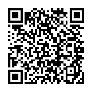 应该说是世界意识和反派系统最疼爱的命运之子――赵碧萱二维码生成