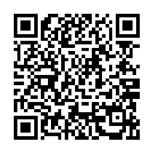 应该还来得及参加到这场罕见的圣域强者乱战里二维码生成