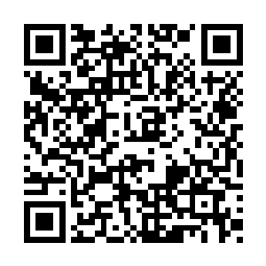 府里好几个人血肉模糊的被抬回来……这么一来二维码生成