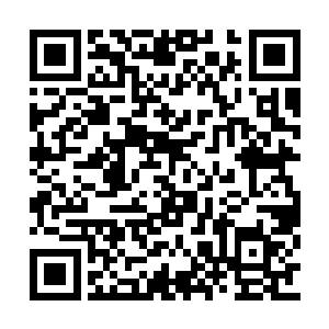 庞大的火山之城似乎和记忆当中没有任何的变化二维码生成