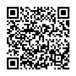 庞大的身躯就向着许紫烟的符人急速地掠了过去二维码生成