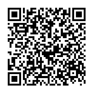 庞大的阅读量再加上掌握了太多后世的相关理论都是方运巨大的优势二维码生成