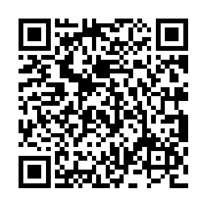 庞金华进村的第一天开始你就在盘算着怎么赶走他了是不是二维码生成