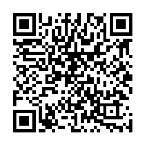 康端亲王和铃木天雄以及坂田冈姆看到这两个昏迷的黑衣人二维码生成