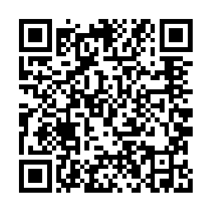 廖海对于放置在这里的东西兴趣并不是那么的大二维码生成