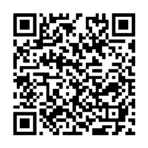 廖猛看着自己手腕上不断发出急促红芒的随身晶脑二维码生成