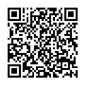 延长了她几个月的命……不过这小妮子……也太命苦了吧二维码生成