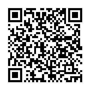 廷尉署继续加大力度在金乌城搜寻刺客同党和可疑人等二维码生成