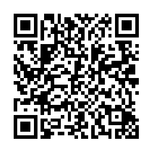 开了差不多四十来分钟便已经能远远望到仓北县出口的牌子二维码生成