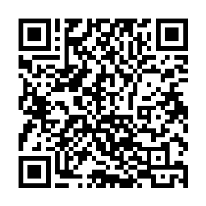 开什么玩笑……你……你的战斗力刚刚还只有一……二维码生成