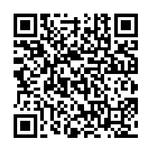 开启了领域的传奇强者在相关方面会有很大的结算加成二维码生成