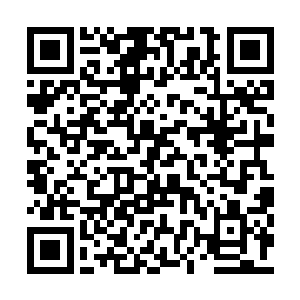 开启这个大传送阵可是需要五百亿的中品灵石的二维码生成