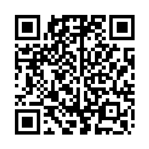 开始从那密布的细小伤痕中激荡而出二维码生成