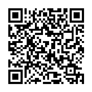 开始在屏幕上疯狂给没有任何视野的大龙区域发起了信号来二维码生成