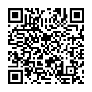 开始对着整个儿舱室里还没有被他催眠过的人进行死亡点名二维码生成