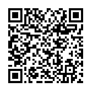 开始建立猜想模型……地图输入……主体战力输入二维码生成