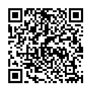 开始悄悄的收割起了那四株长在四片石叶瓣上的百年仙石菌二维码生成