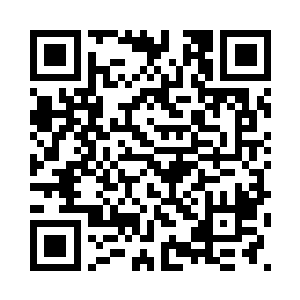 开始把船上一箱箱的湾虾倒入海中二维码生成