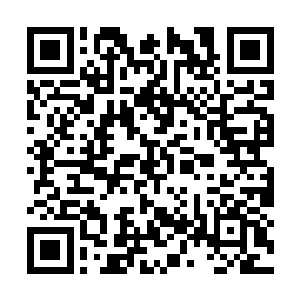 开始筹备专门负责把家臣等级转换文武士的机构了二维码生成