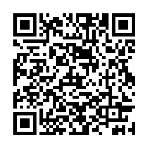 开始还叽叽喳喳相互攀谈的众人现在彻底安静下来二维码生成