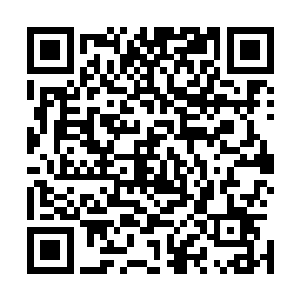 开锁中……秦方直接对着机关盒的第二层使用了开锁技能的二维码生成