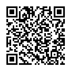 异形的内巢牙在击破了暴君的头皮之后竟然便无法存进二维码生成