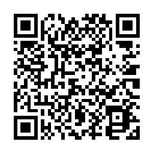 弄一个虚假的战斗场景如果再给杨铁成这些人看出破绽二维码生成