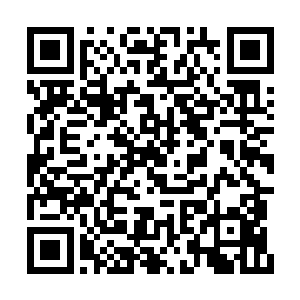 弄个更为简单的选秀节目岂不是手拿把攥的事儿二维码生成