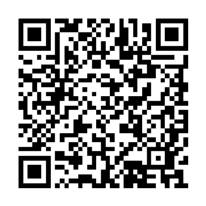 弄得刘铁成他们都不敢轻易出出现在陆大人面前二维码生成