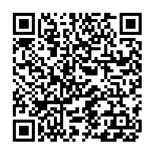 弄得马国英在李志远和孙震面前整天大谈特谈职业教育培训体系建立的重要性二维码生成