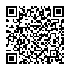 弑神目光也随即落到了下方的恐怖的海蟒的身上二维码生成