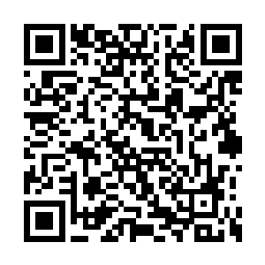 引发的威力杀死一名灵环真人简直再正常不过了二维码生成