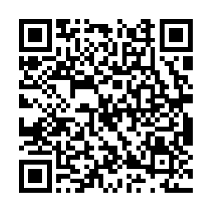 引导者体内狂暴的劫雷之力不断的淬炼自己的身体二维码生成