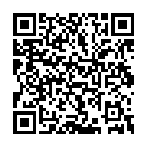 引得周围几个来送别的诺曼帝国的官员面面相觑二维码生成